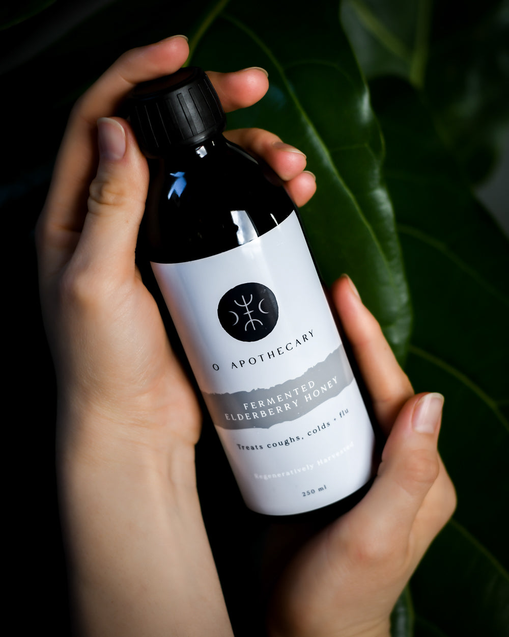 hands holding fermented elderberry honey by o apothecary