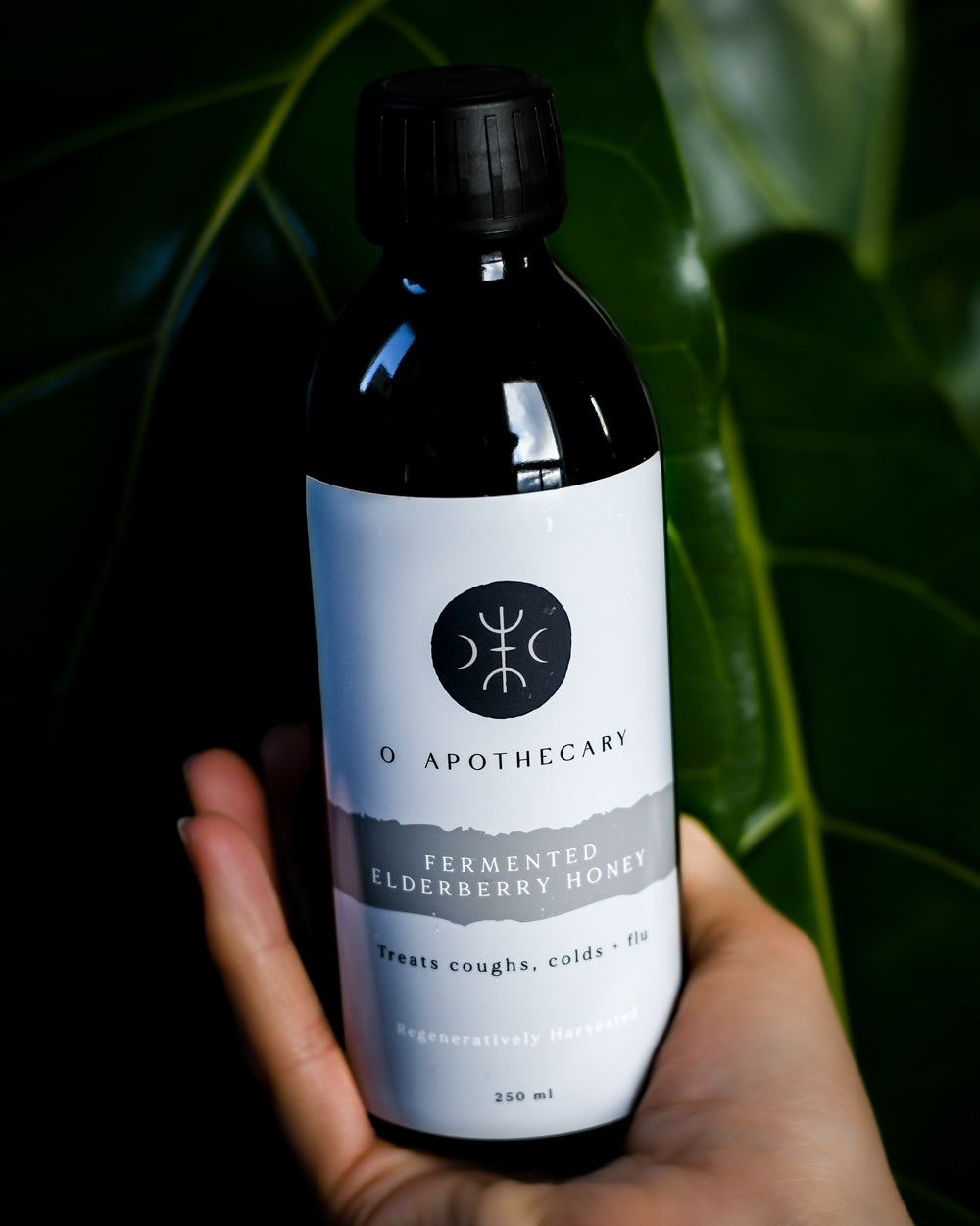 fermented elderberry honey regeneratively harvested by o apthecary
