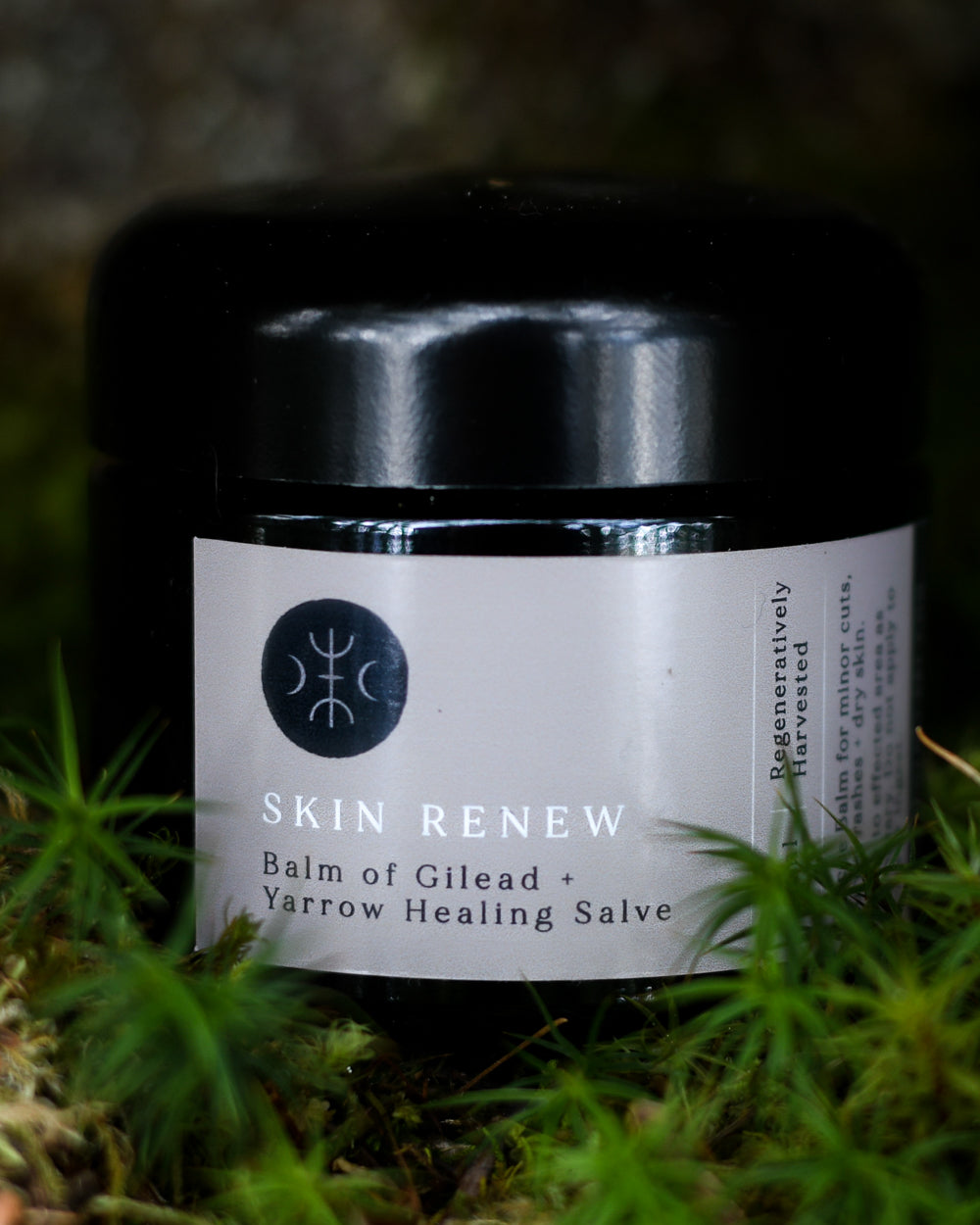 Skin renew balm of gilead & yarrow healing salve
