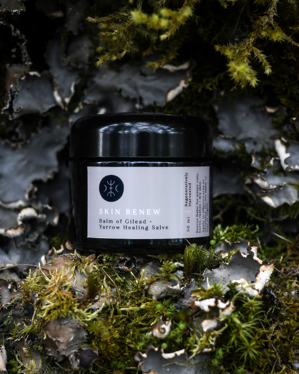 Balm of Gilead & Yarrow Healing Balm by O Apothecary