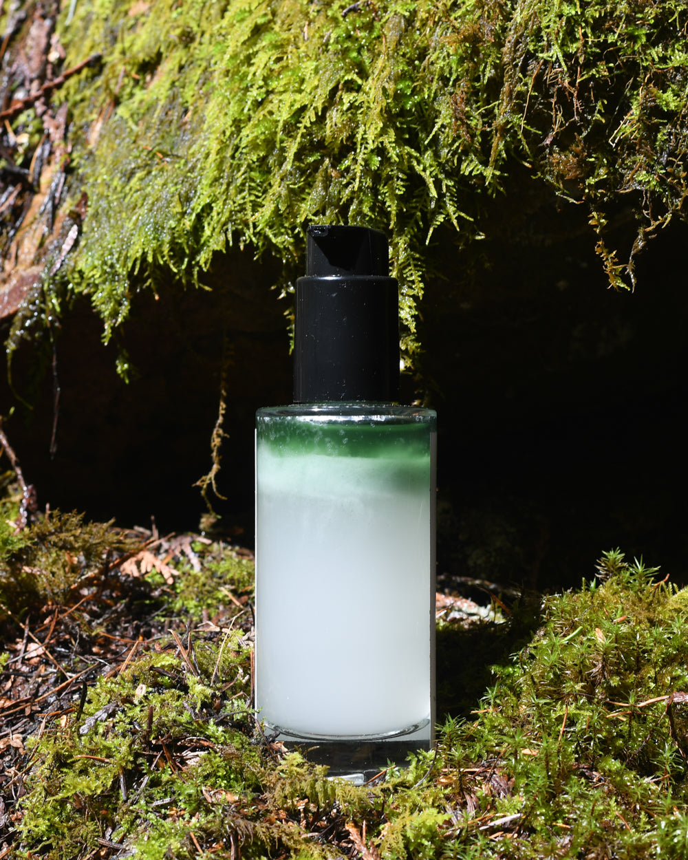 SUN TONIC