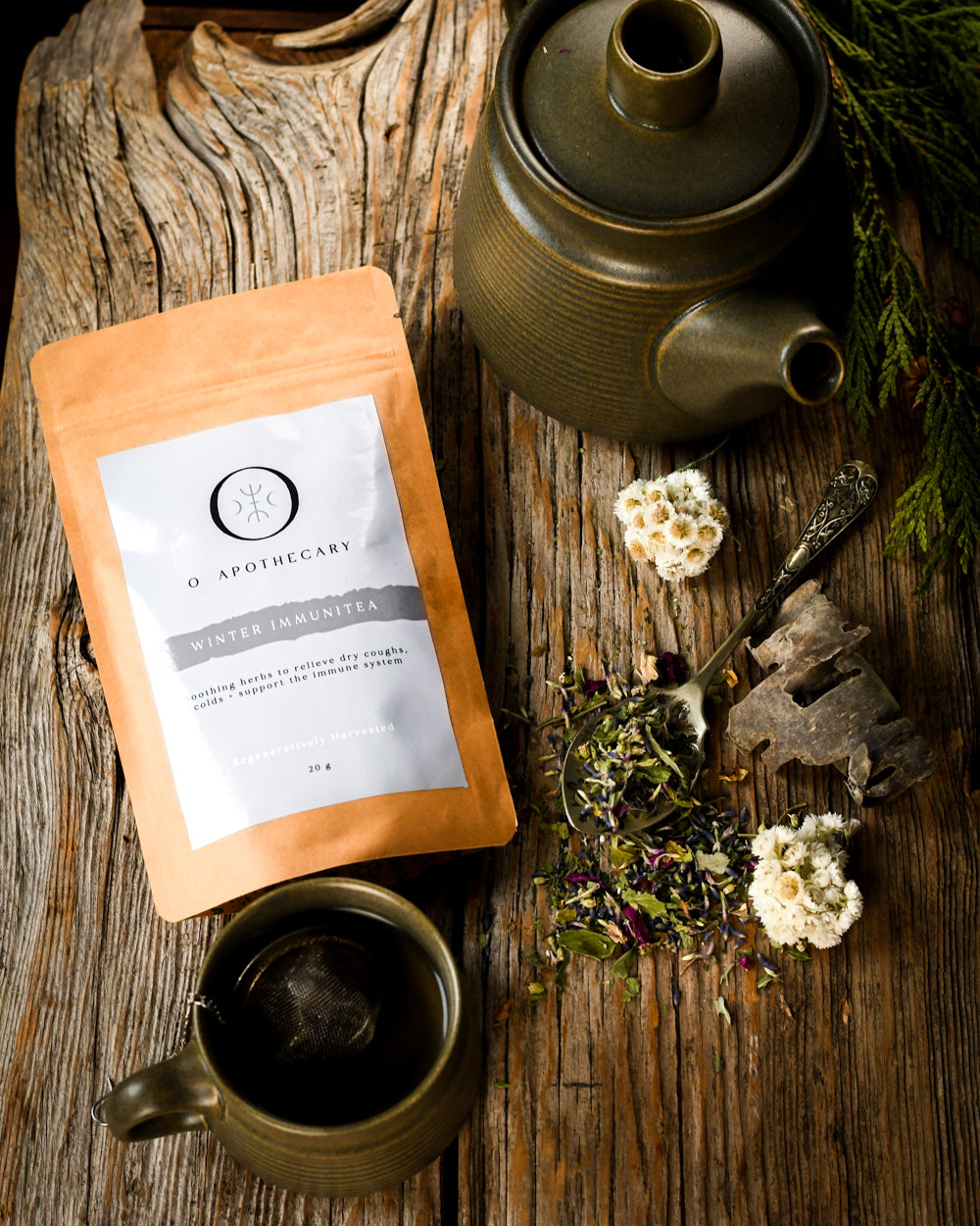 Winter Immune Tea loose leaf with kettle and tea cup by O Apothecary