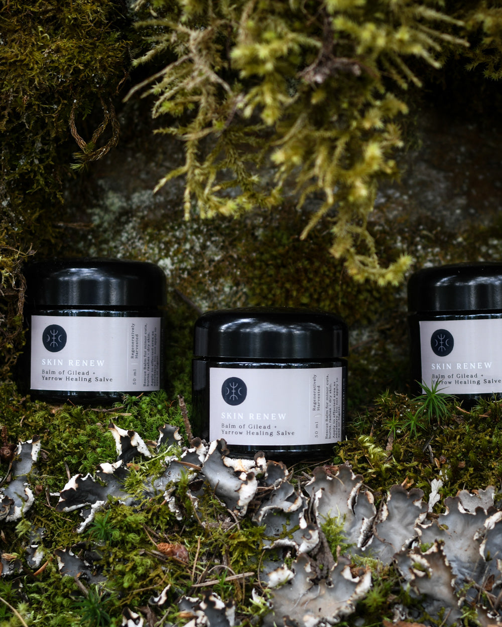 Three jars of skin renew by o apothecary resting in the moss