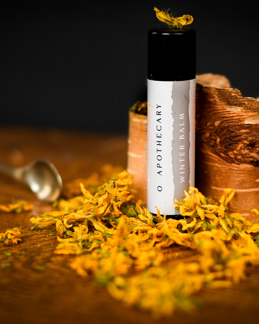 Winter balm regeneratively harvested lip balm covered in saint johns wort leaves by O Apothecary